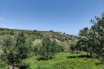 4 Βούτες εντός